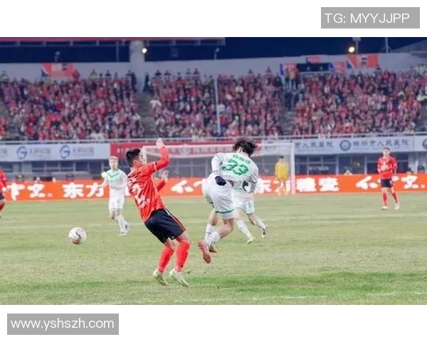 湖南株洲足球明星盘点及其在中国足球界的影响力分析